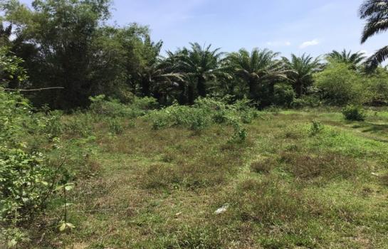 �� �� zionasset1