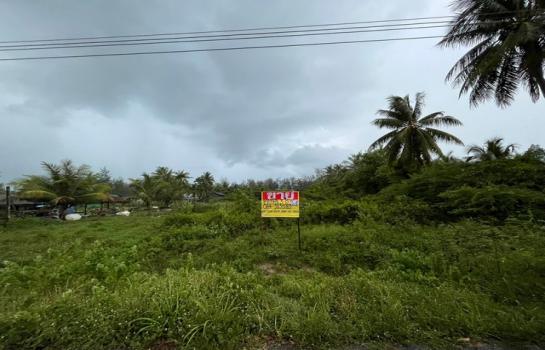 ���ʧ��� �� zionasset1