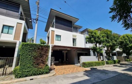 ��ҹ�� �� 100webfed