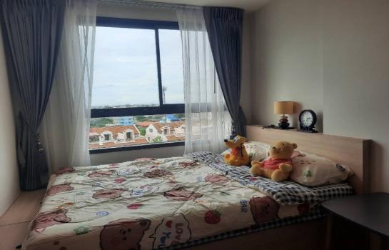 �ҧ�� �� SW ESTATE_Rental