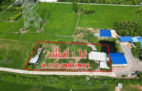 �� �� zionasset1