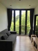 ������ �͹� �Ѳ�� ��ا෾