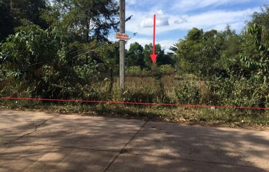 ��º֧��� �� panaya.opalopal