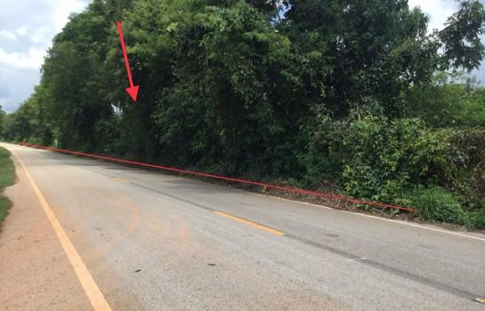 �ѹ��ᾧ �� compos2566