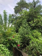 ��·��Թ �Ҥһ�С�Ȣ�� 94,500,000 �ҷ