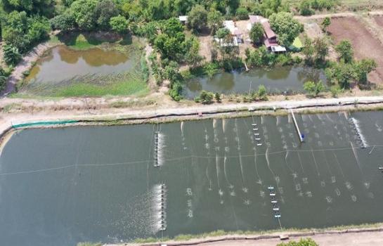 ���ͧ �� natanong78