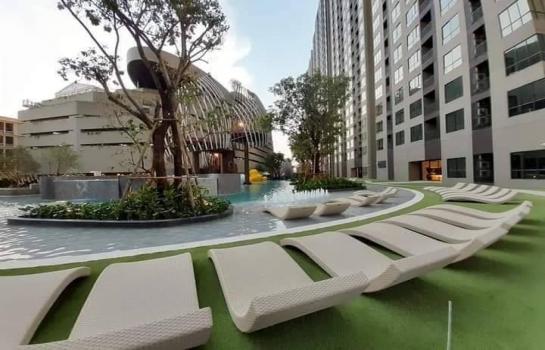 �����¹��� ���˹����ѧ�������Ѿ��