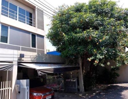 �ǹ��ǧ �� incube