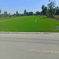 ขายที่ดิน bigc ขายที่ดิน bigc