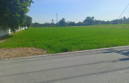 ขายที่ดิน bigc ขายที่ดิน bigc