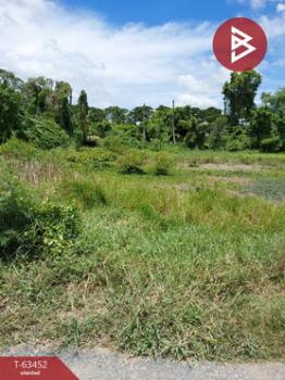 �չ���� �� The Best Property Agent