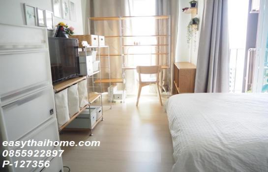 �͹���ͧʵٴ��� ���¢�ҧ