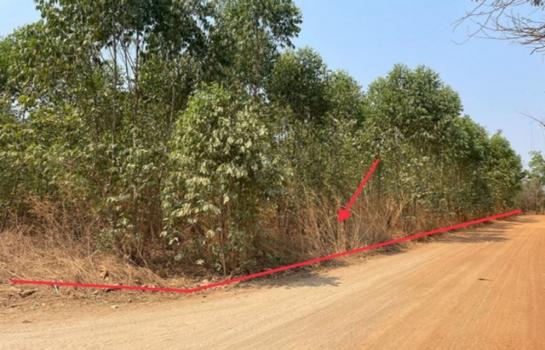 ˹ͧ�� �� compos2566