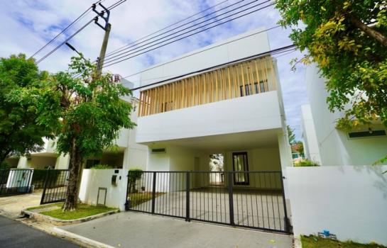 �ҧ�л� �� kulchaya1