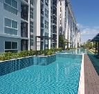 �͹� �ҧ��Ƿͧ