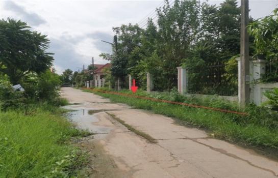 �����ä�� �� panaya.opalopal