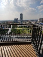 ������ �͹� 51.76 ���ҧ����