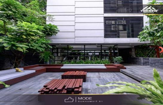 ����Ѳ�� �� Yoknewproperty