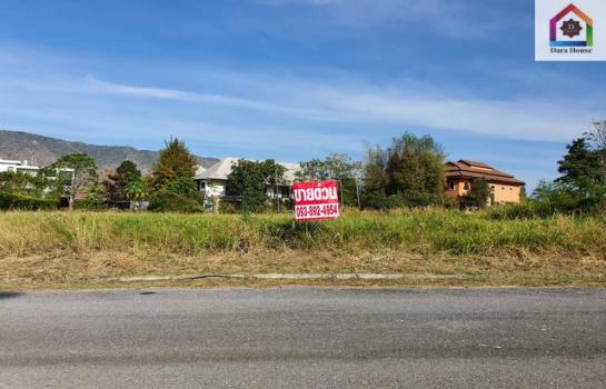 �ҡ��ͧ �� danoiestate