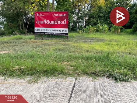 ��ɳ��š �� The Best Property Agent