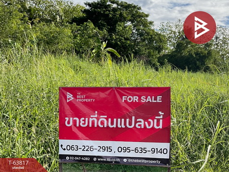 ��ɳ��š �� The Best Property Agent