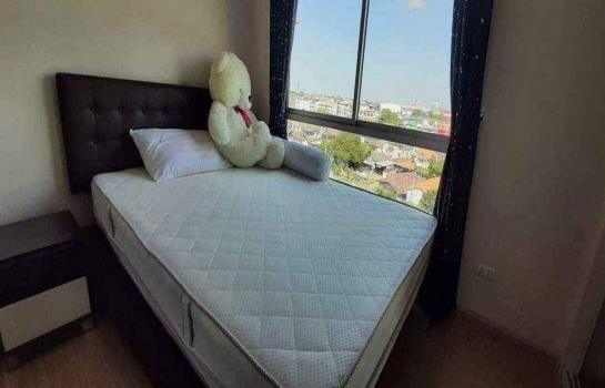 �ҧ�˭� �� M Property