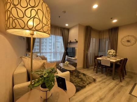 ����ҷ� �� incube