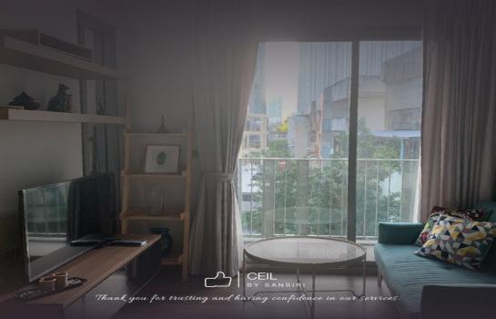 ����Ѳ�� �� Yoknewproperty