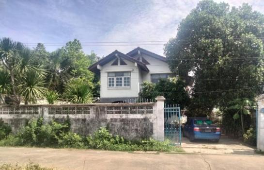 ����Ҵ����� �� asangha PL