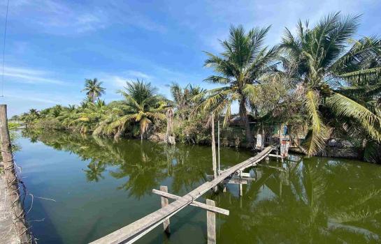 ��û�� �� The Siam Property