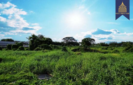 ��ͧ��ǧ �� Perfect Property1