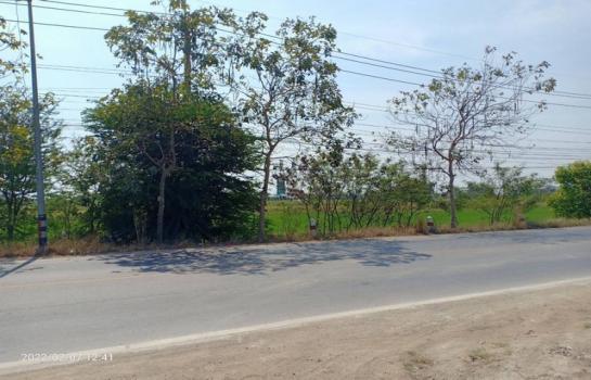 ���١�� �� Jyn Property