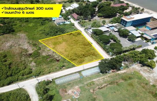 �ź��� �� The Vinvestor