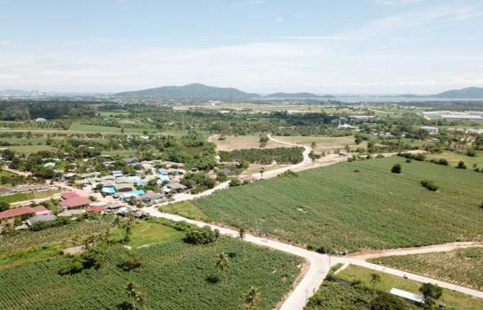 ����Ҫ� �� The Vinvestor