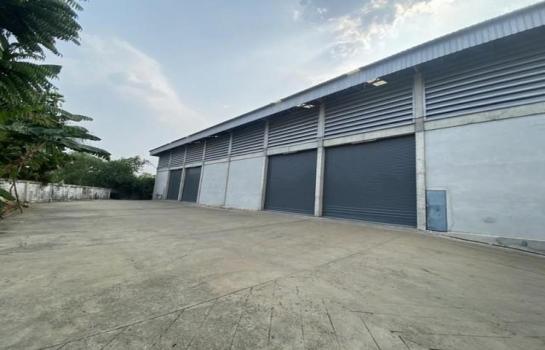 ��ͧ����� �� asangha PL