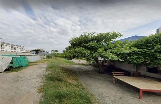 �ǹ��ǧ �� HarrisonTH