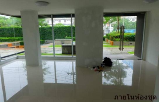 ��áԨ�Դ��� ������