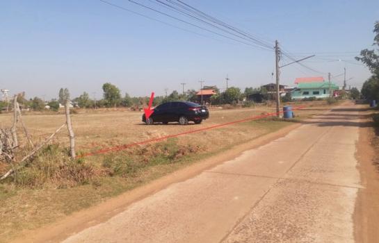 ���������� �� panaya.opalopal