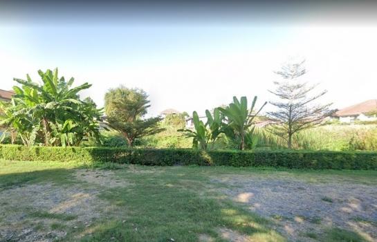 ��بѡ� �� HarrisonTH