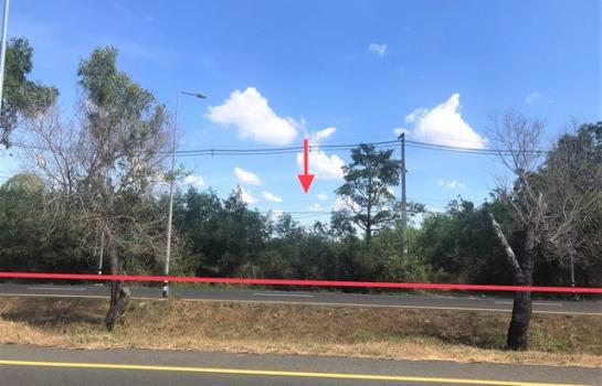 �����ʸ� �� panaya.opalopal