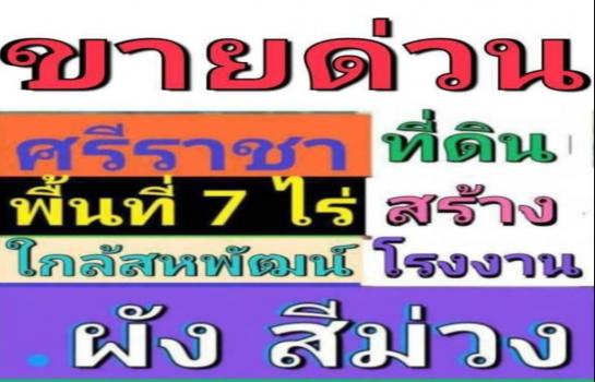 �ź��� �� TheEstate78924