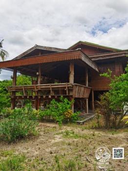 ��ҹ��§���� 5 ��ͧ�͹