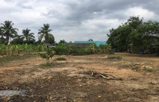 �ѹ��ᾧ �� onanong khumaphao