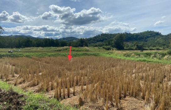 ������ �� compos2566