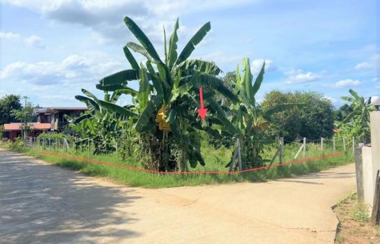 ������ �� compos2566