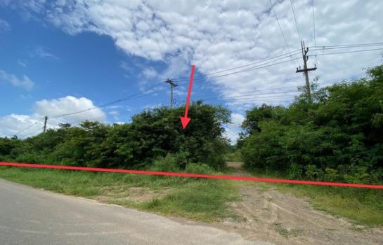 ������ �� compos2566