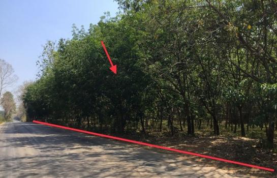 ������ �� compos2566