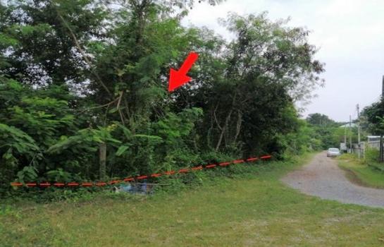 ���ͧ ��� �� panaya.opalopal