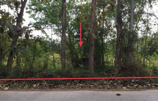 ������ �� compos2566