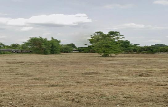 ���Թ�ҧ�� �� Sawasdee